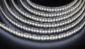 Ленты светодиодные лента светодиодная nls-2835cw240-24-ip20-12v | 14459 | navigator выгодная цена