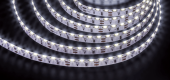 Ленты светодиодные лента светодиодная nls-335cws120-8-ip20-12v | 14449 | navigator выгодная цена