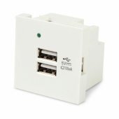 Розетки, адаптеры и модули Keystone m45-usbch2-wh модуль розетки usb для зарядки, 2 порта, 2м, 4.2а, 5в, 45x45мм, белый | 250097 | hyperline выгодная цена