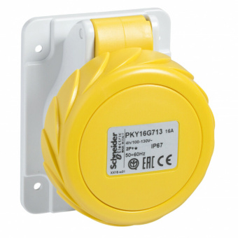 1Разъемы промышленные панел роз бстр 32а 2p-e 100-130 ip67 | pky32g713 | schneider electric выгодная цена
