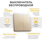 Комплектующие и вспомогательное оборудование для светильников выключатель дистанционного управления 230v 500w двухклавишный, tm82, золото | 41726 | feron выгодная цена