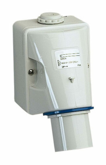 1Разъемы промышленные plug wall mount 16a 2p-e | 83504 | schneider electric выгодная цена
