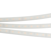 Ленты светодиодные лента светодиодная rtw 2-5000pw 12v white6000 2x (5060, 300 led, lux) | 016169 | arlight выгодная цена