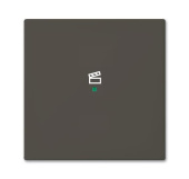 Розетки, выключатели, звонки электрические srs-1-95 клавиша одинарная free@home, сцена, basic 55, цвет chateau-black | 6220-0-0689 | 2cka006220a0689 | abb выгодная цена