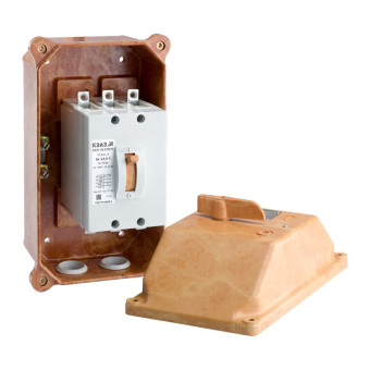 1Выключатели автоматические силовые выключатель автоматический ва21-29в-341110-31,5а-6iн-690ac-ip54-у2 | 140095 | кэаз выгодная цена