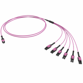 1Патч-корды оптическая разветвительная сборка 12ов 50/125 om4, 1xmtp pro(12)/6хlc duplex uniboot, 2м (предустановленная конфигурация: mtp male, тип полярности - п выгодная цена