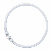Лампы (источники света) лампа люминесцентная кольцевая лл 40вт 2gx13 830 basic t5 fc 300мм | 4050300528540 | osram выгодная цена