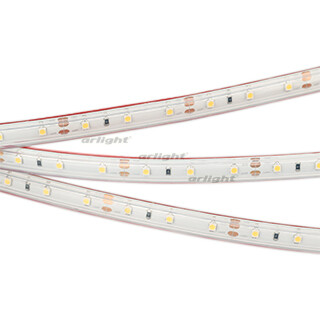 1Ленты светодиодные лента светодиодная rtw 2-5000ps 12v warm2700 (3528, 300 led, lux) (arlight, 4.8 вт/м, ip67) | 028506 | arlight выгодная цена
