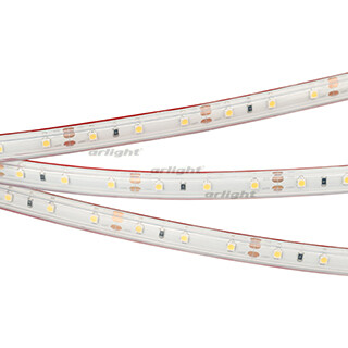 1Ленты светодиодные лента светодиодная rtw 2-5000ps 12v day4000 (3528, 300 led, lux) | 021100 | arlight выгодная цена
